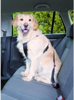 Trixie Auto-Tuig Zwart Maat - M 29 Trixie Auto-Tuig Zwart Maat - M -Hondenbenodigdheden Korting 891x1200 2