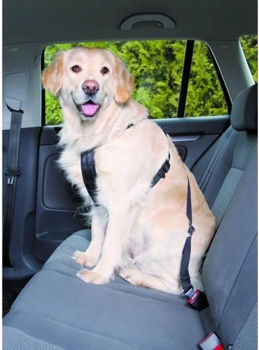 Trixie Auto-Tuig Zwart Maat - M 13 Trixie Auto-Tuig Zwart Maat - M - Afbeelding 13