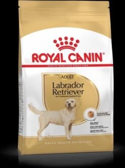 Royal Canin Labrador Retriever Adult 12 KG -Hondenbenodigdheden Korting 893x1200