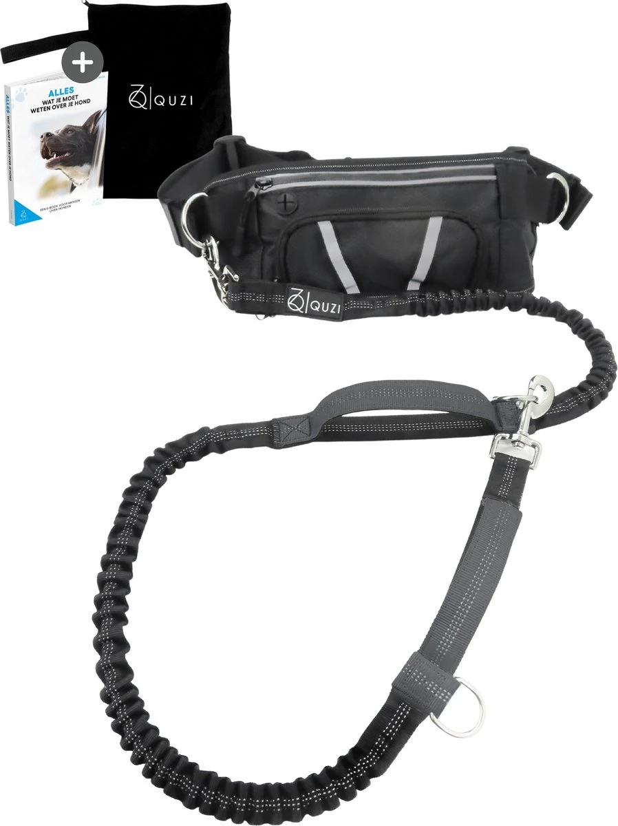 Canicross Looplijn Hond Met Heupriem Voor Hardlopen - Elastische Handsfree Hondenriem - Honden Trainingslijn - 150/200cm - Grijs 1 Canicross Looplijn Hond Met Heupriem Voor Hardlopen - Elastische Handsfree Hondenriem - Honden Trainingslijn - 150/200cm - Grijs