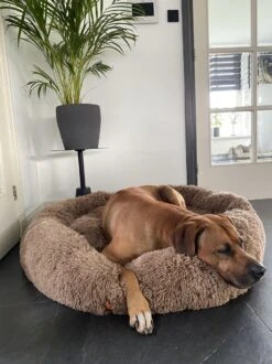 Happysnoots Hondenmand Met Rits - 80cm - Hondenbed - Donut Dog Bed - Fluffy - Grijs - Wasbaar -Hondenbenodigdheden Korting 899x1200 16