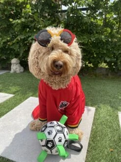 Honden Speelgoed Bal Voetbal Extra Sterk Met Handvaten Ball Hondenbal - 15 Cm - Dutchwide -Hondenbenodigdheden Korting 899x1200 30