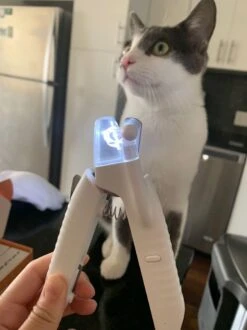 SunnyPets - Professionele Dieren Nagelknipper - Wit - Met LED En Vijl - Hond - Kat - Geschikt Voor Alle - Nageltang -Hondenbenodigdheden Korting 899x1200 4