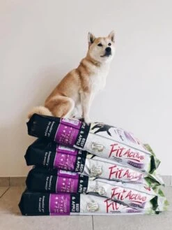 Fit Active Everyday Premium – Hondenvoer Voor Volwassen Honden Van Middelgrote Tot Grote Rassen - Premium Hondenbrokken Op Basis Van Kip/rund Smaak - 15kg -Hondenbenodigdheden Korting 900x1200 1