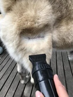 Waterblazer Hond - Hondendroger -Hondenbenodigdheden Korting 900x1200 12