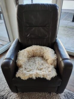 Kussen Voor Kat Of Kleine Hond | Fluffy Dierenkussen Van Pluche | Kat | Bank | Mand | Kattenmand | Kattendeken & Bankbeschermer Max. 15 Kg | Beige | Maat XS -Hondenbenodigdheden Korting 900x1200 21