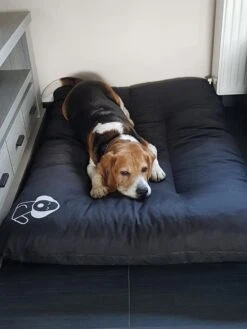 Hondenkussen XXXL -Donkergrijs - 85 X 120 X 14 -Hondenbenodigdheden Korting 900x1200 22