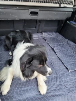 Luxe Hondendeken 200 X 150 Cm Auto Achterbank Kofferbak Vuilafstotend & Beschermend -Hondenbenodigdheden Korting 900x1200 30