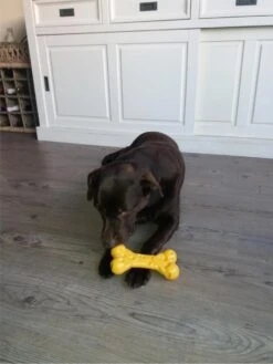 Nylabone Extreme Kauwbot Met Kaassmaak - Voor De Krachtigste Kauwers - Vulbaar Met Smeersels Zoals Pindakaas - XS/M/L - Large 13 Nylabone Extreme Kauwbot Met Kaassmaak - Voor De Krachtigste Kauwers - Vulbaar Met Smeersels Zoals Pindakaas - XS/M/L - Large -Hondenbenodigdheden Korting 900x1200 52