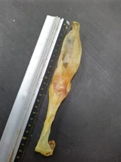 Konijn Oor Konijnoren 1kg Van De Snackmeester 100% Natuurlijk Natural Naturel -Hondenbenodigdheden Korting 900x1200 6