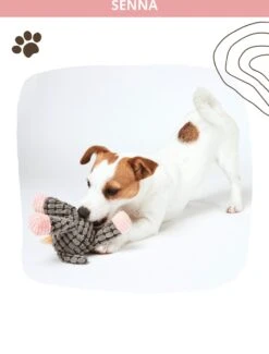 Honden Knuffel - Set Van 2 - Hondenspeelgoed Met Piep - Honden En Katten - Ezel En Giraf - Sellaio -Hondenbenodigdheden Korting 912x1200 12