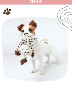 Honden Knuffel - Set Van 2 - Hondenspeelgoed Met Piep - Honden En Katten - Ezel En Giraf - Sellaio -Hondenbenodigdheden Korting 912x1200 13