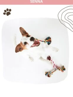 Speeltouw Hond - 3 Stuks - Speelgoed Hond - Flostouw - Hondenspeelgoed - Puppy - Trektouw -Hondenbenodigdheden Korting 912x1200 5