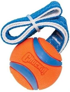 Chuckit! Chuckit Ultra Tug – Hondenspeelgoed - Blauw/Oranje – Large - ø 7 Cm -Hondenbenodigdheden Korting 914x1200 7