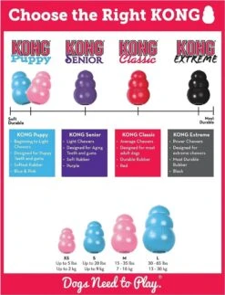 Kong Puppy - Hondenspeelgoed - Assorti - M 26 Kong Puppy - Hondenspeelgoed - Assorti - M -Hondenbenodigdheden Korting 917x1200 2