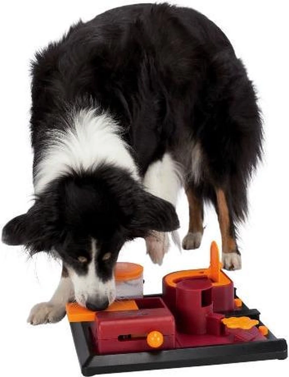 Trixie Dog Activity Poker Box 2 31x31 Cm 9 Trixie Dog Activity Poker Box 2 31x31 Cm - Afbeelding 9