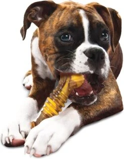 Nylabone Extreme Kauwbot Met Rund- En Kaassmaak - Voor Krachtige Kauwers - In S/M/XL - X-Large -Hondenbenodigdheden Korting 937x1200 7