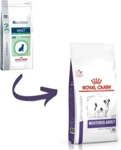 Royal Canin Small Dog Neutered Adult - Hondenvoer - 8 Kg -Hondenbenodigdheden Korting 972x1200
