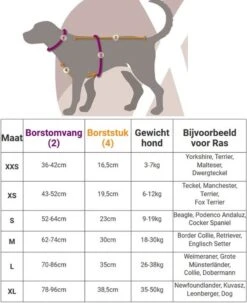 Anny.X Hondentuig Y Tuig Bruin Barnsteen Maat L Geschikt Voor Borstomvang 70-86cm -Hondenbenodigdheden Korting 977x1200 2