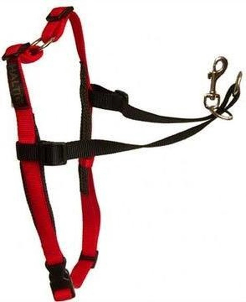 Company Of Animals Halti Harnass Hondentuigje - Anti Trektuigje - M - 60 Tot 80 Cm – Zwart 1 Company Of Animals Halti Harnass Hondentuigje - Anti Trektuigje - M - 60 Tot 80 Cm – Zwart