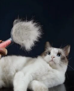 Pakeway T9 - Kattenborstel - Zelfreinigende Kattenkam - Groen - Massageborstel - 19,3 Cm -Hondenbenodigdheden Korting 983x1200 2