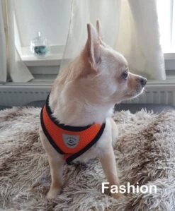 Luxyana Pets Hondentuig - M - 32-55cm - Harnas Voor Hond Of Grote Kat - Easy Step-in Hondenharnas - Inclusief Bijpassend Riempje - Zwart -Hondenbenodigdheden Korting 992x1200 5